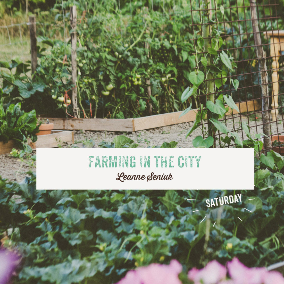 Farming in the City