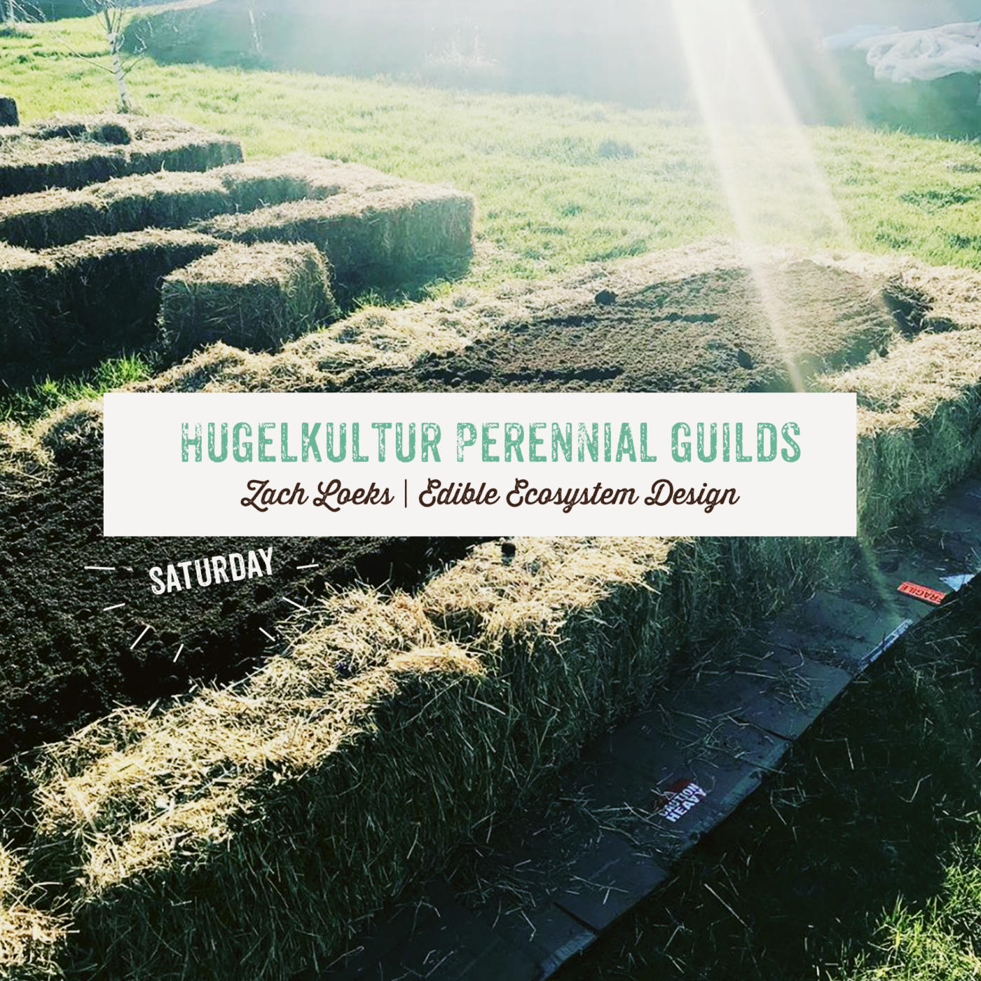 Hugelkultur Perennial Guilds