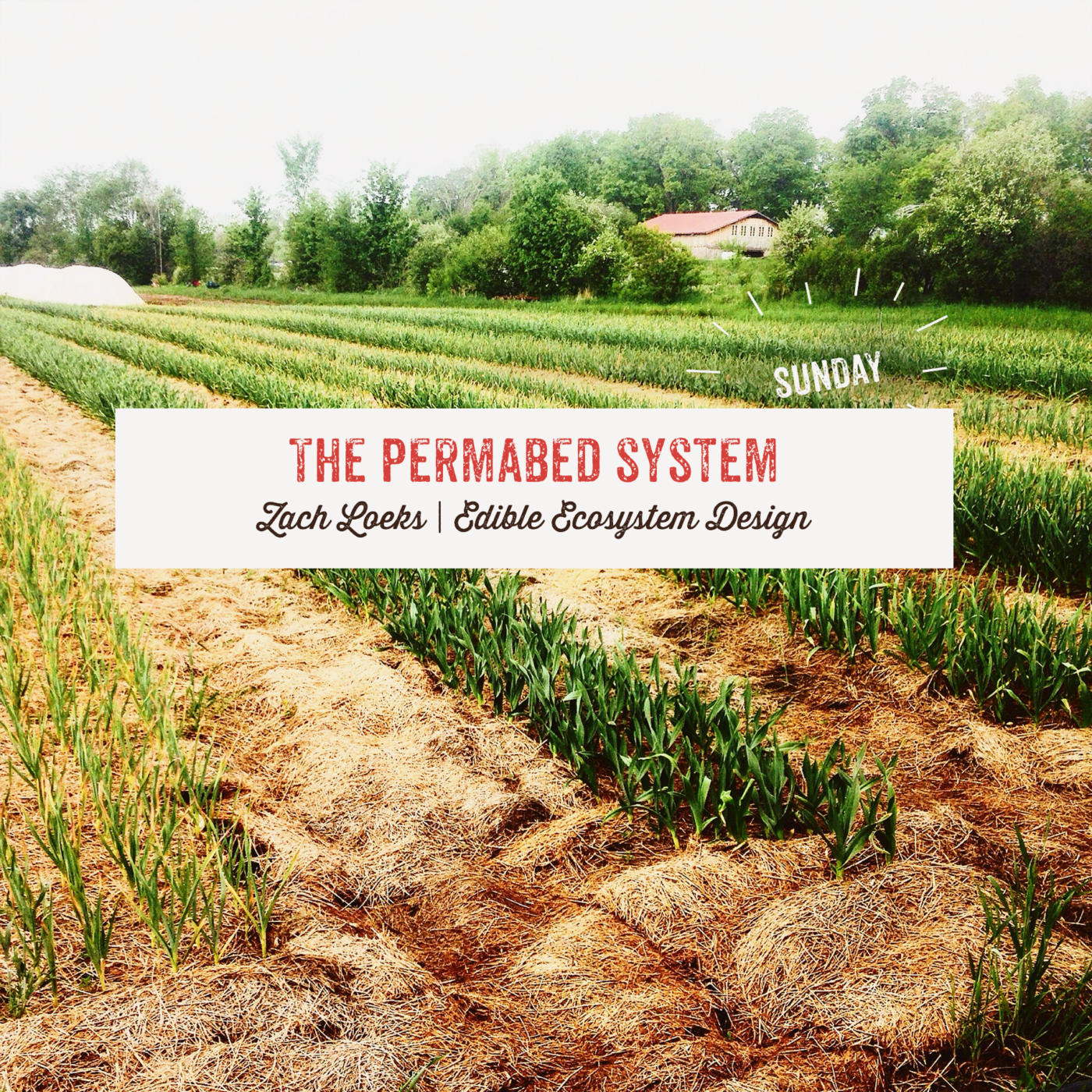 The Permabed System