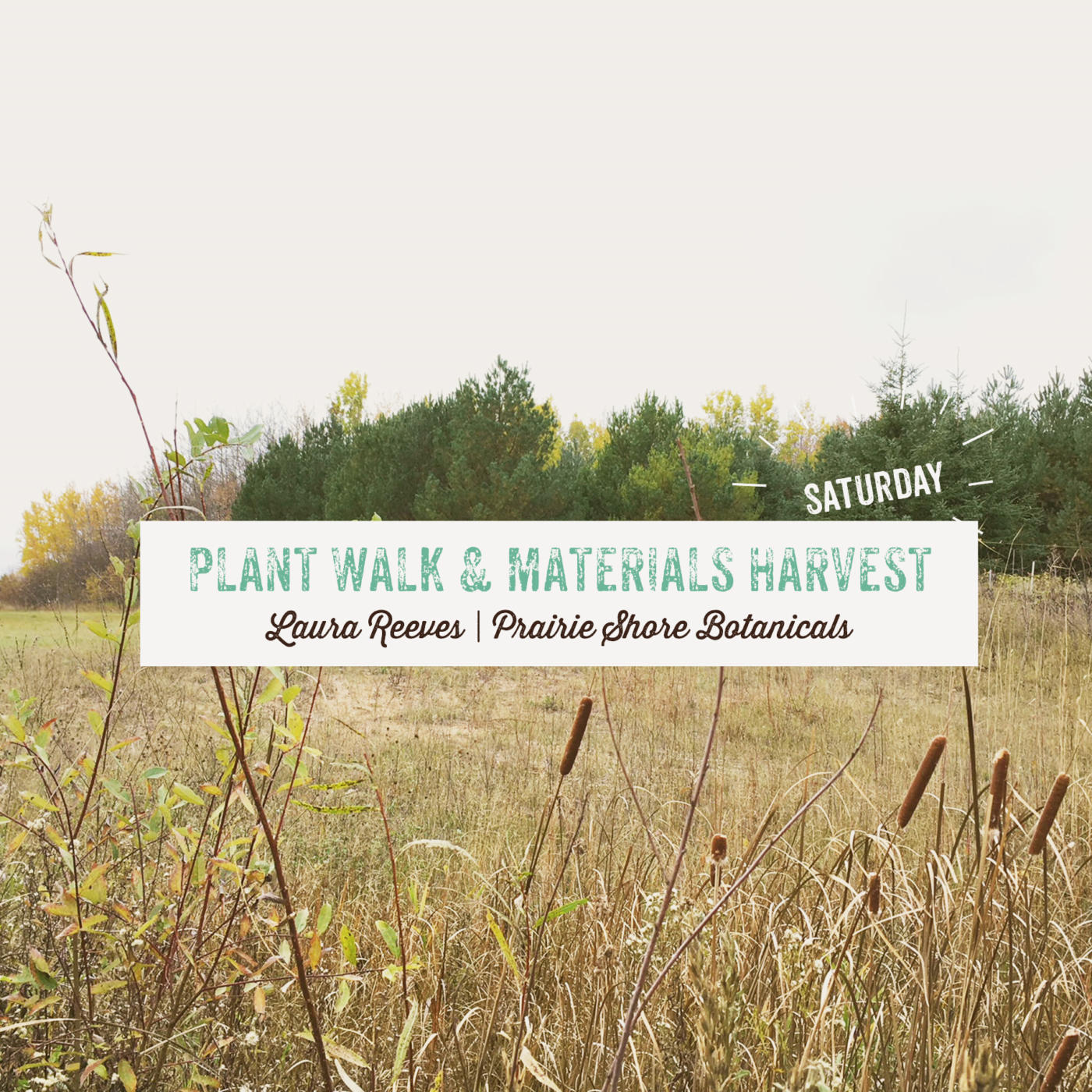 Plant Walk & Materials Harvest