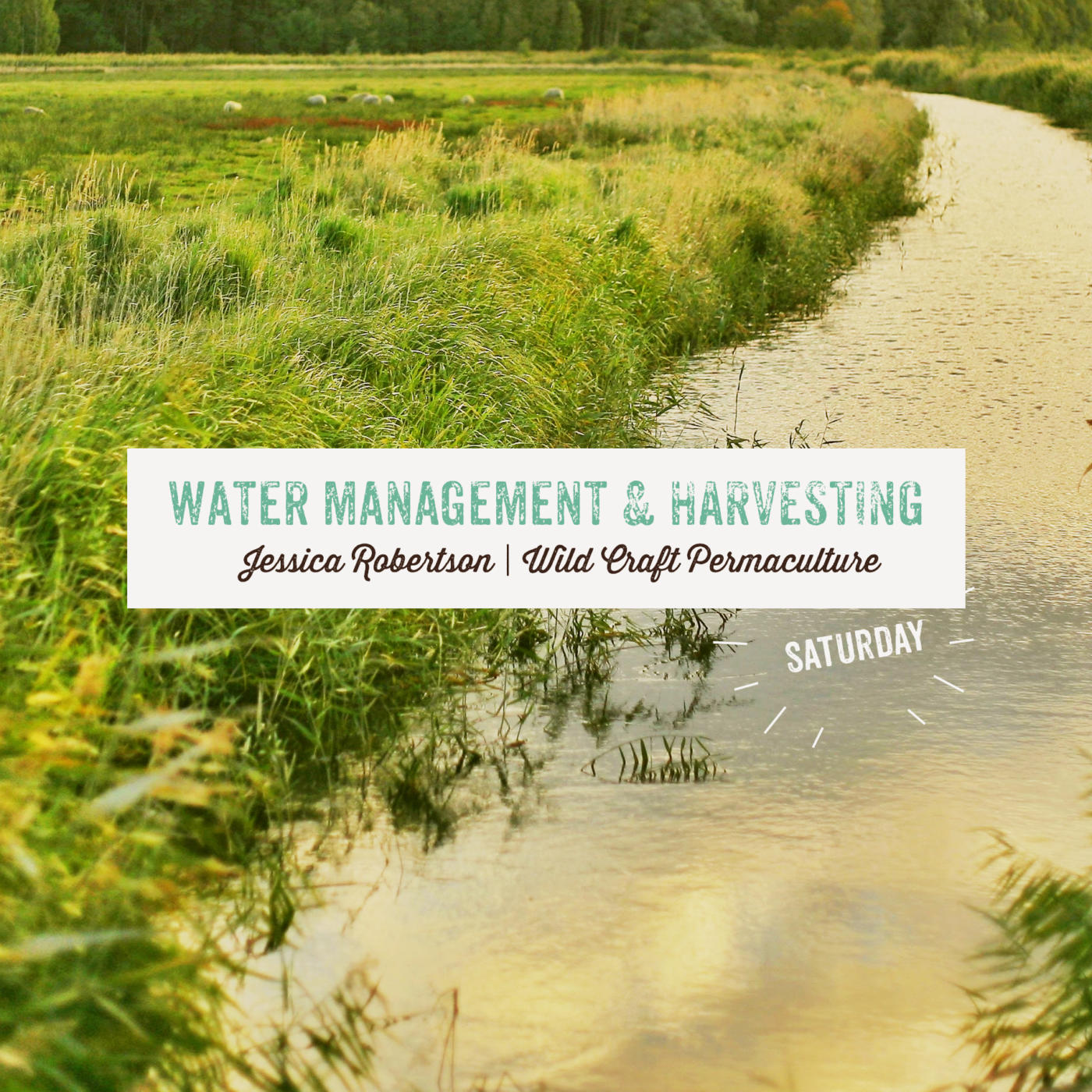 Water Management & Harvesting