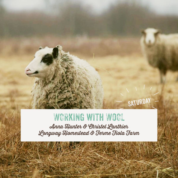 Working with Wool